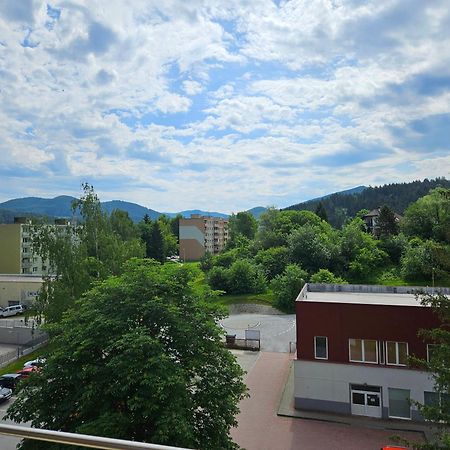 Wolf Apartman Pokojne Ubytovanie V Povazskej Bystrici Ticha Lokalita S Parkovanim Vsade Blizko Vhodne Pre Pracovne Cesty Turistiku Aj Oddych Plne Vybavena Kuchyna Považská Bystrica Εξωτερικό φωτογραφία